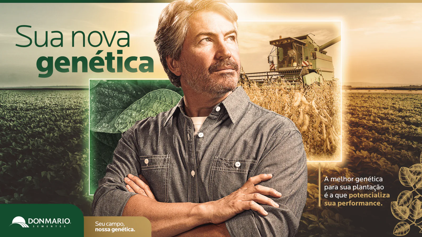 DonMario Sementes · Sua nova genética