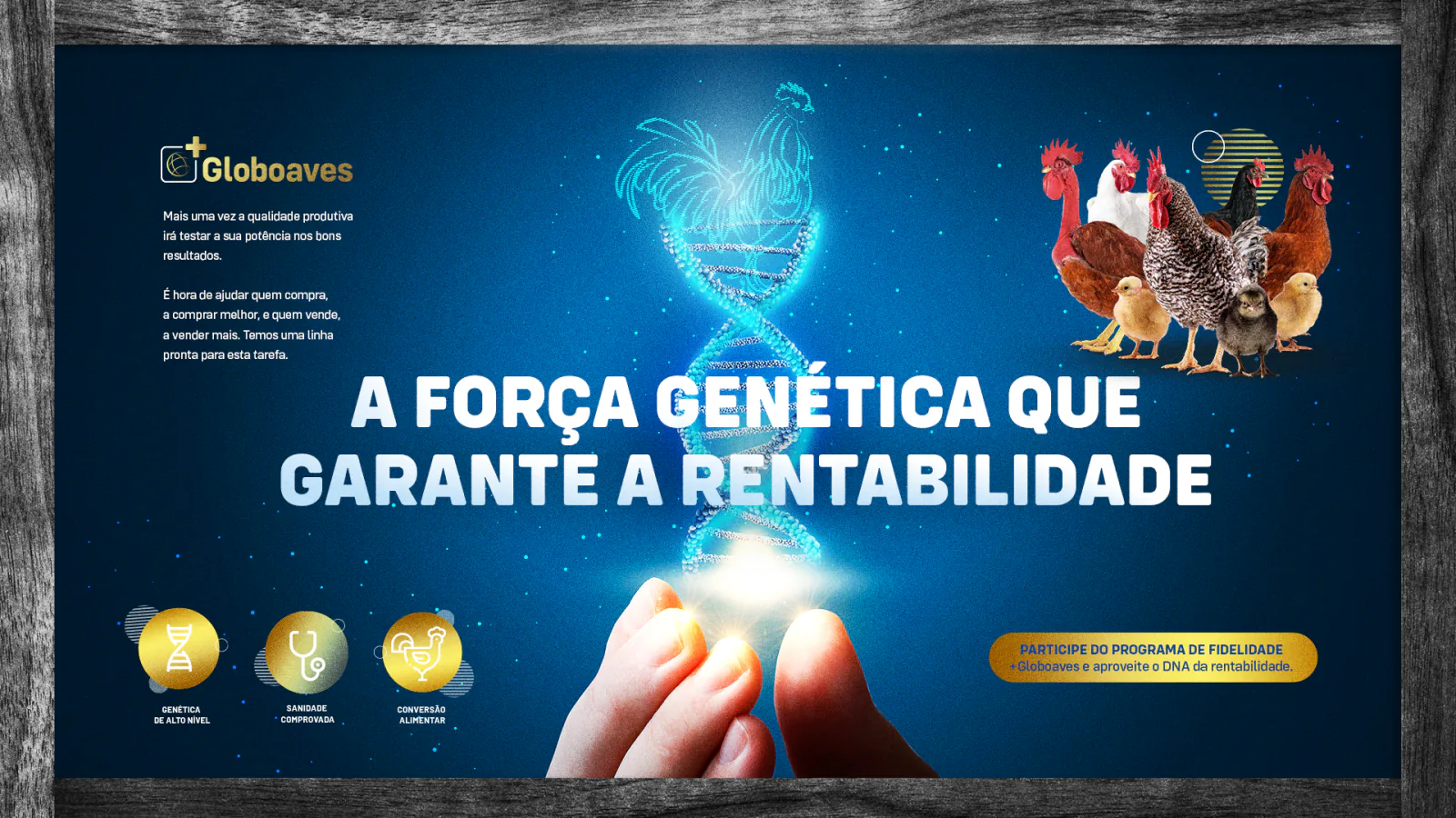 Globoaves · A força genética que garante a rentabilidade